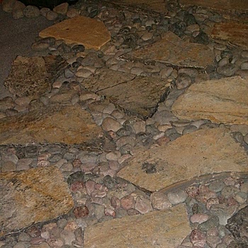 Fuar Katılımları
