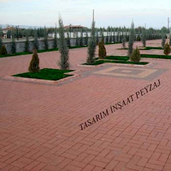 Bitkisel Peyzaj Uygulamaları