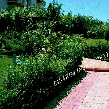 Bitkisel Peyzaj Uygulamaları