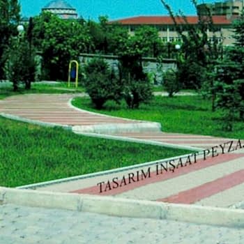 Bitkisel Peyzaj Uygulamaları