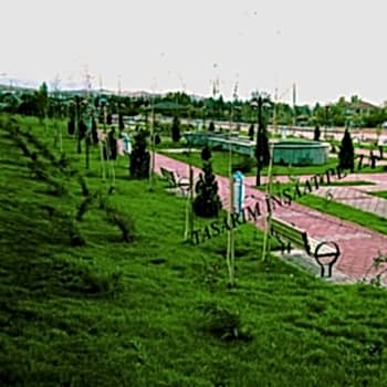 Bitkisel Peyzaj Uygulamaları