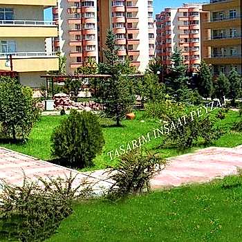 Bitkisel Peyzaj Uygulamaları