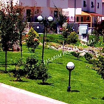 Bitkisel Peyzaj Uygulamaları