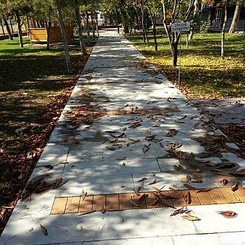 Yapısal Peyzaj Uygulamaları