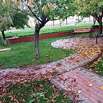 Yapısal Peyzaj Uygulamaları