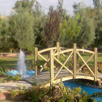 Süs Havuzları