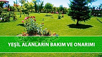 Yeşil Alanların Bakım ve Onarımı